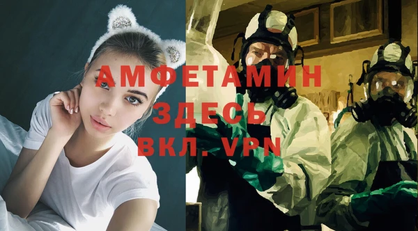 шишки Армянск