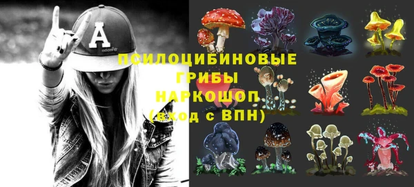 твердый Галич